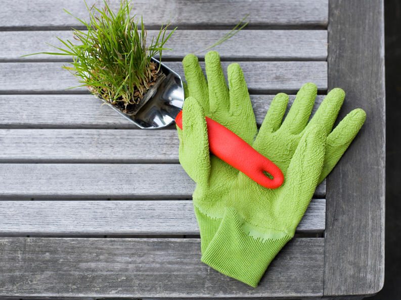 Cómo elegir los guantes de jardinería más acertados