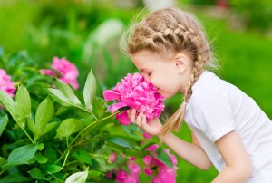 15 consejos básicos para hacer fotos a flores
